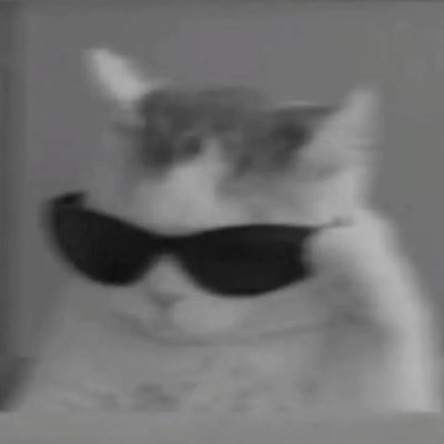 the_h_0na's profile picture. 