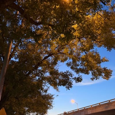 8964xxxx's profile picture.