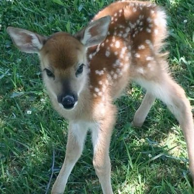 MrsToasto's profile picture. bleh