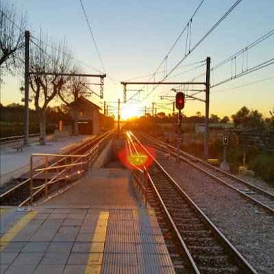 MFebrer24974's profile picture. 