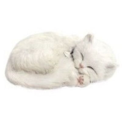 dottyfawn's profile picture. #shedtwt 🤍 | 45.3kg , bmi 18.6 , forced recovery | 🏩 I don't post cuts , just relatable / useful sh content |