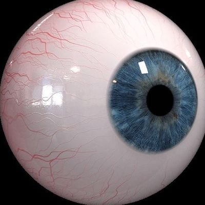 ayoodotfxggy's profile picture. the fucking real me
