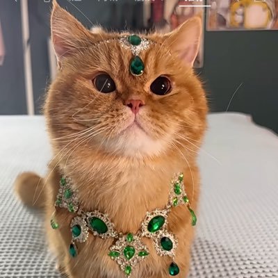 DPqugRPqus89111's profile picture. 