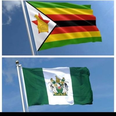 chibgechitedza's profile picture. Free spirit in search of peace and democracy