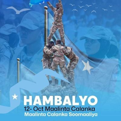Halgamaassc99's profile picture. dentist(DDM)
and medical radiology(MRT)