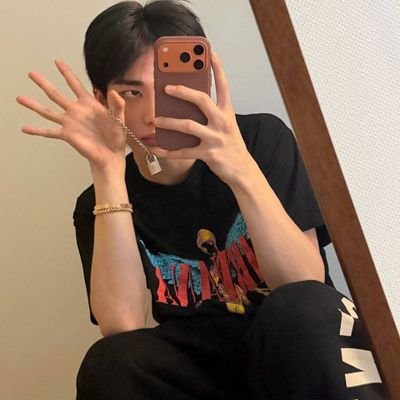 curtlelu's profile picture. njz & skz fan