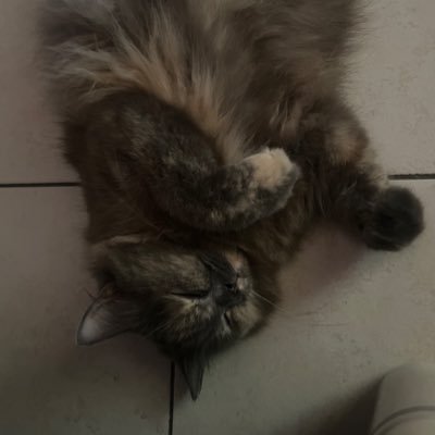 panickbebe's profile picture. she sounds apologetic like she embarrassed to be a good girl