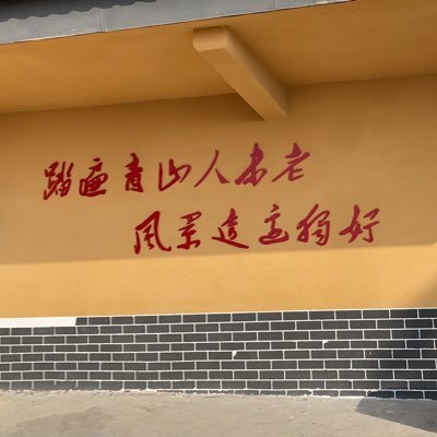 Persistent86343's profile picture. Loyal web3.0 user .