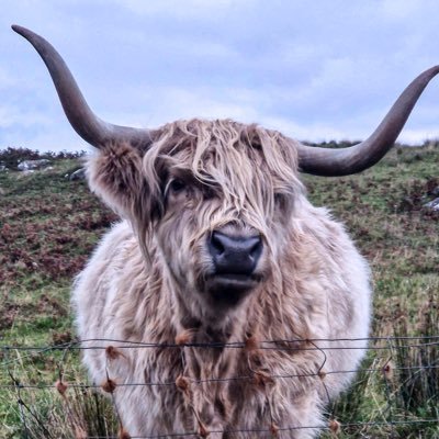 JUSTDREAM51934's profile picture. Dreamer | Web3 Marketer | For Business Collab @KNECT_Advisory

Never give up on your dreams!
$RAGE on! 

$DMC 
$SUI
$TOILET
$STRAYDOG
( ͡° ͜ʖ ͡°)