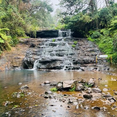 twt4lal's profile picture. 