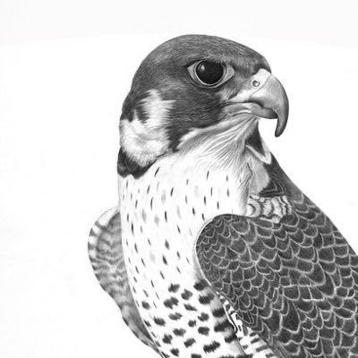 AB_1x1's profile picture. 