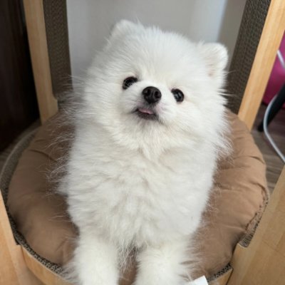 chloe636379's profile picture. Believer in the power of positive vibes, good energy, and living authentically