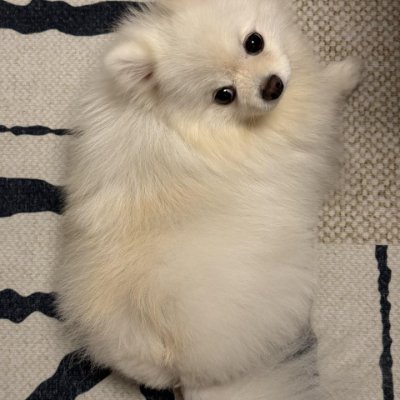 amelia63631's profile picture. History whispers truth to those willing to listen, teaching courage, wisdom, and empathy. 🕰️