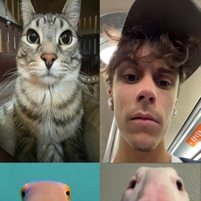 matt_hlp's profile picture. 