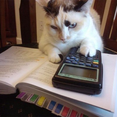 cpalej_26's profile picture. Twilight CPA by May 2026! 🍀✨