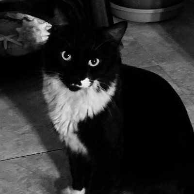 ali0534099411's profile picture. She is gentle yet fierce, soft yet unbreakable. Her personality is a balance of grace and strength, making her unforgettable to those lucky enough to know her.