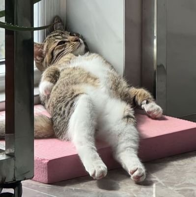 CreamSwoop's profile picture. 27 y/o