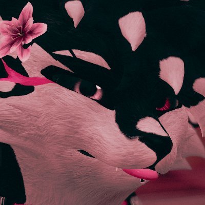 zefreakyfoxx's profile picture. 18 He/Him
Love taking pictures
DMs opened
SFW Account Only!