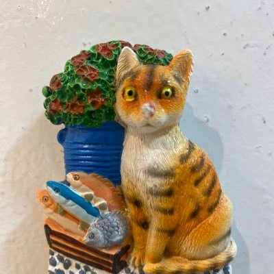 SenJanseri's profile picture. 