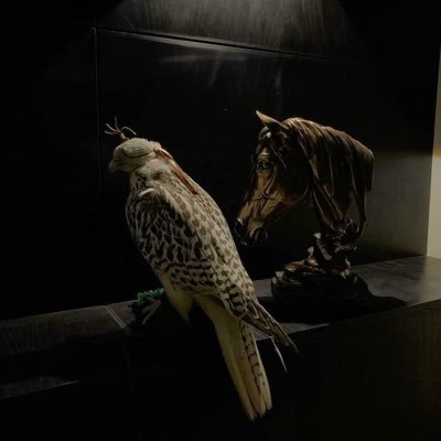 li_ii8u's profile picture. ﴿ وَلَلآخِرَةُ خَيرٌ لَكَ مِنَ الأولى ﴾