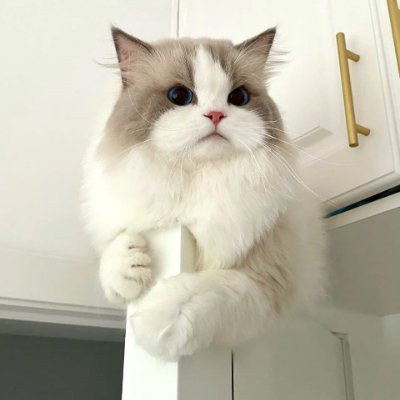 Morag223366's profile picture. Dream big ✨ sparkle more 💖 and never dim your light 🌟 chase goals fearlessly.