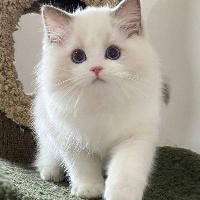 yu120609's profile picture. Push yourself, because no one else is going to do it for you.