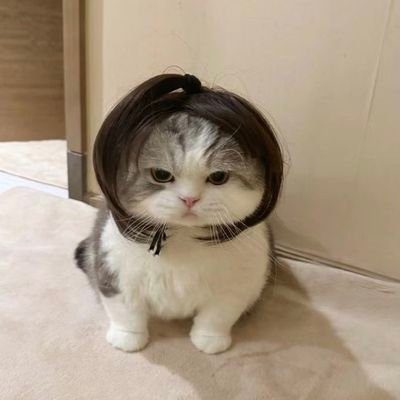 coffeededo_o's profile picture. ur fav brat