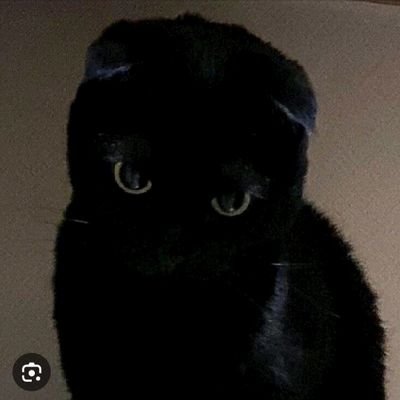 jiyubin1633253's profile picture. 