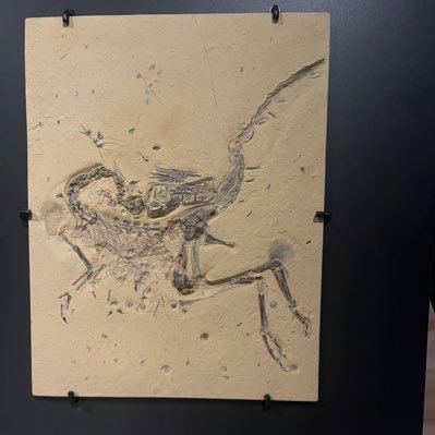 W9oIkc230C15268's profile picture. 