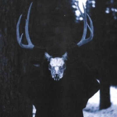 kevtft1's profile picture. novo perfil para os amigos de verdade