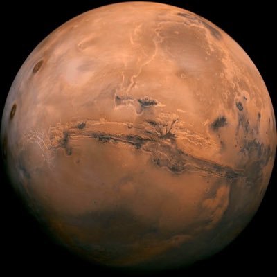 laughingspider7's profile picture. 👁️🖼️🎴👁️‍🗨️🧬⛩️🌞👤👥🫂🫆❔♍️3️⃣6️⃣9️⃣0️⃣999