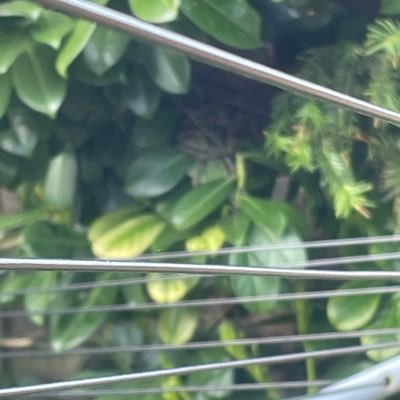 rm2K241's profile picture. 