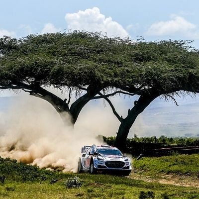 nschoeller74's profile picture. 