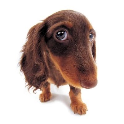 maternidadelulu's profile picture. live de vez em nunca na roxinha https://t.co/HCJUJZcKqt