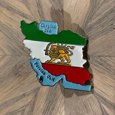 pahlaviiran021's profile picture. صد بارم بزنید ،میام. فرق هست بین شما مزدورا با من که وطن پرستم🫡 سرباز پهلوی همیشگی🩵👑