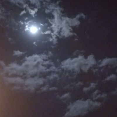 canmemis1999's profile picture. Felsefe-Psikoloji