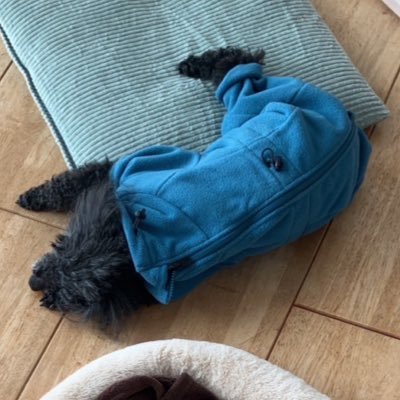 menoko1218's profile picture. フォローリムブロお気軽に。ラーメンズを主にKKPやKKTVなど。小林組の中で松本亮さん推しになりました。他に広く浅くでチームナックスや 水どうみてたり 成人済