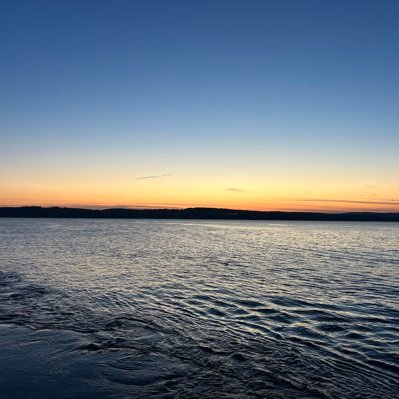 stacksatsNOKYC's profile picture. 