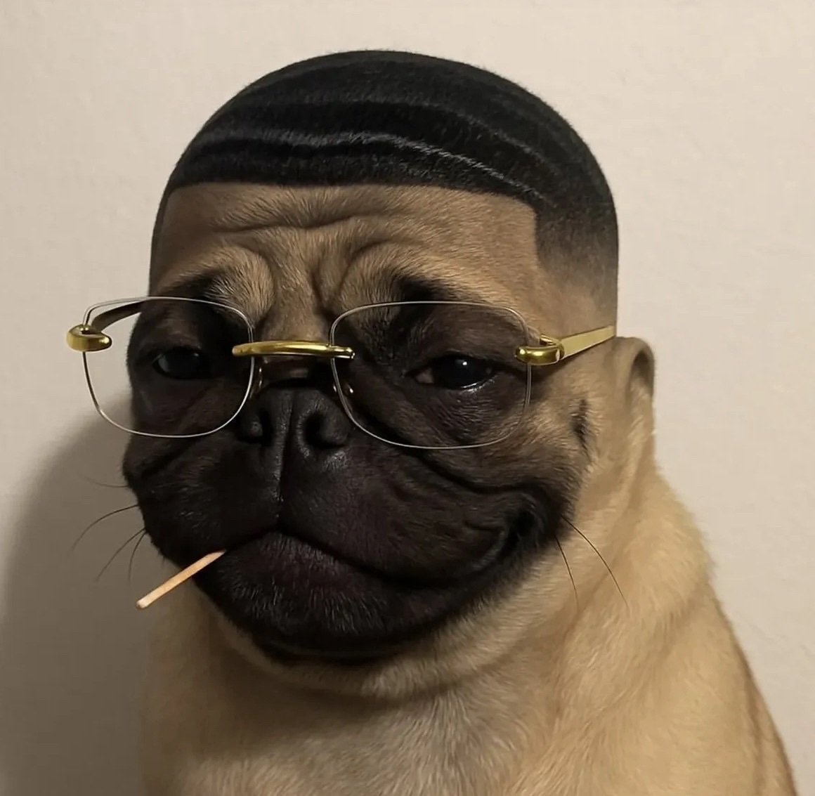 FinkusFlow's profile picture. 