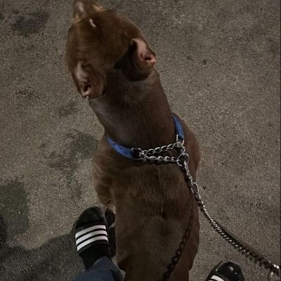 manigrum's profile picture. No Sad Days