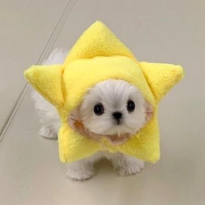 cloud9xin_'s profile picture. (24)@ALD1_official 김건우  ベリベリ夜公演🇯🇵