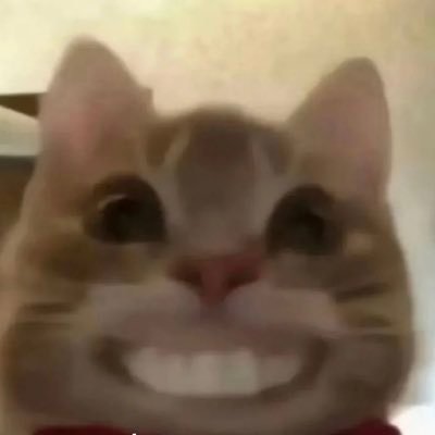 cher200011's profile picture. 