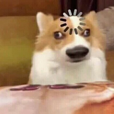 1prettydog_'s profile picture. イェ✦. ˚ ೯ ⁺.