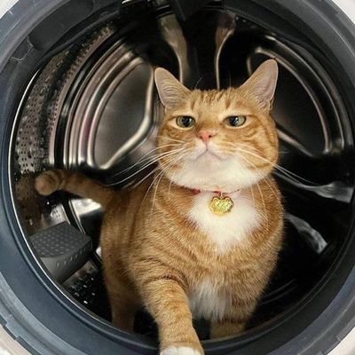 duchessofbone's profile picture. 