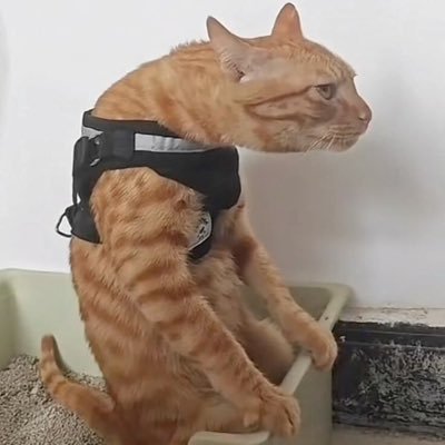 dam_mp's profile picture. Sandwich gen yang berhasil nge-carry keluarga