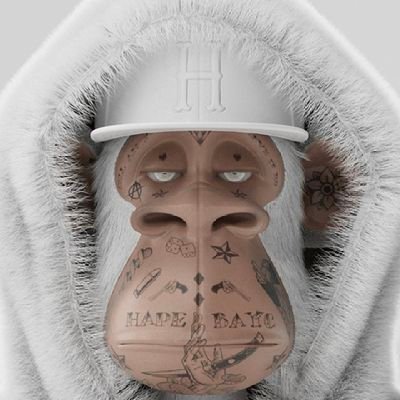 Flackohustler's profile picture. crypto and web3