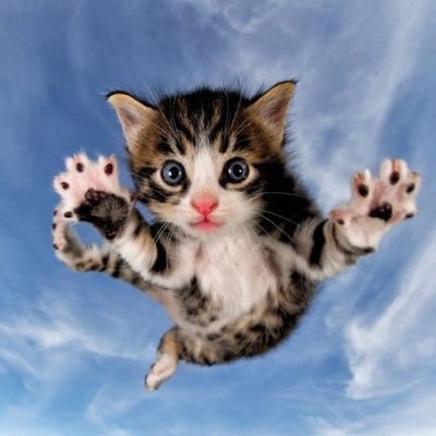 neonpinkyulia's profile picture. love angel music baby