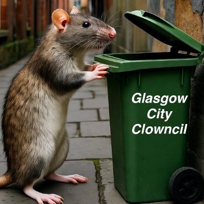 EggScott34332's profile picture. 