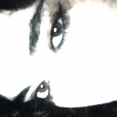 Aldee_za's profile picture. 