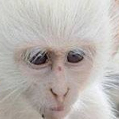 hobsonaa's profile picture. White Jesus/White privilege/Degrading Blackness,WithoutMe/There Is /NoYou/ChangingMentalities/Making the Globe, Inclusive for all. ("hint") ONE LOVE TO MANKIND!
